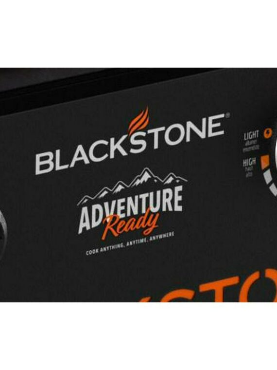 Blackstone 2-Burner 28" Griddle Cooking Station, Portable with Wheels, Stainless Steel Burners, 524 sq. in. Surface, Propane/Natural Gas Compatible