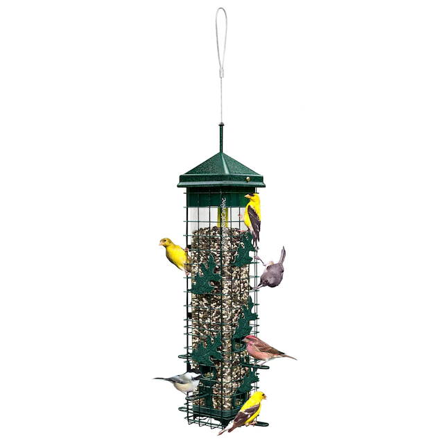 Brome Squirrel Solution 200 Squirrel-Proof Wild Bird Feeder, 6 Ports, 3.4 lb Capacity, Free Seed Funnel, Chew Proof, UV Resistant