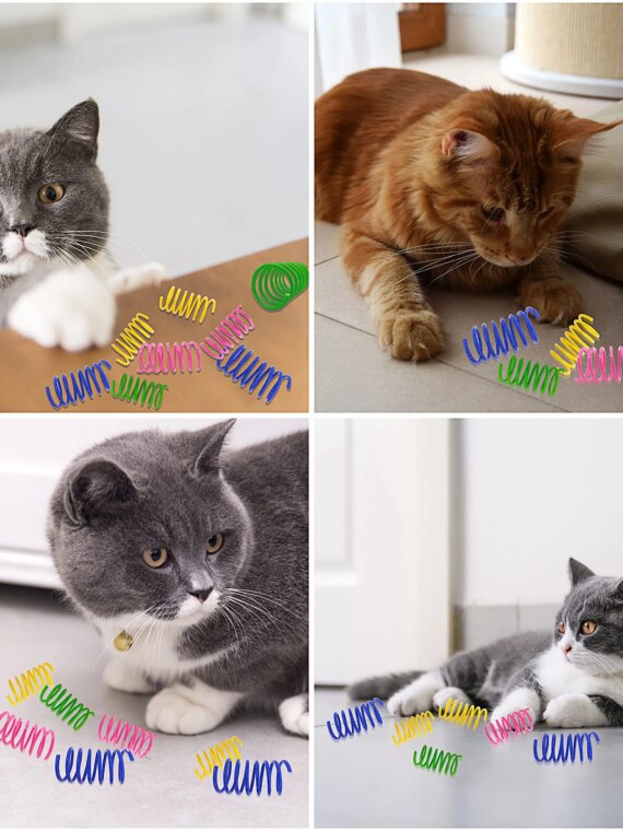 Catify 30-Pack Durable Flexible Plastic Cat Spring Toys - Vibrant Colors, Safe Non-Toxic Play for Cats & Kittens