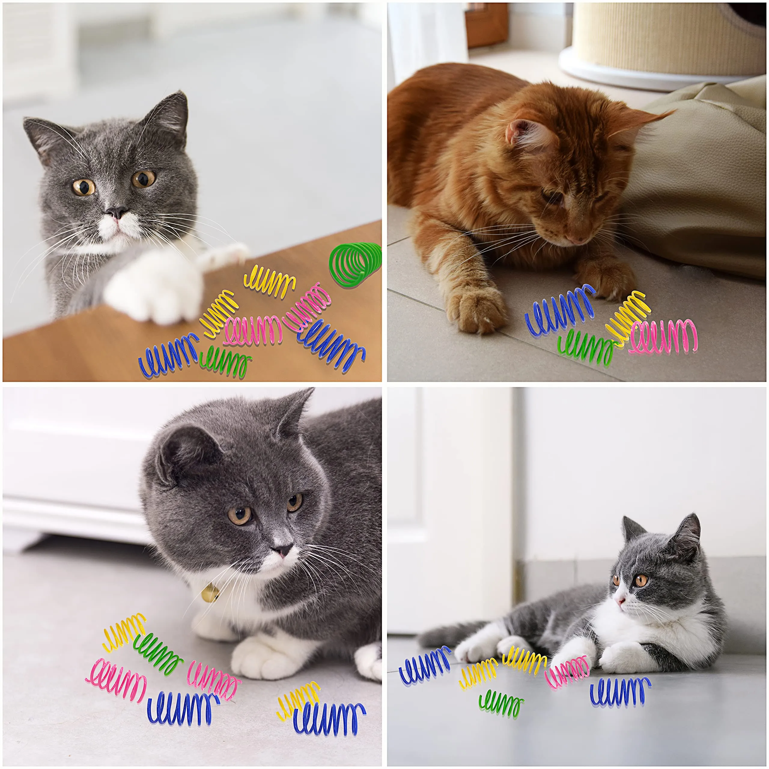 Catify 30-Pack Durable Flexible Plastic Cat Spring Toys - Vibrant Colors, Safe Non-Toxic Play for Cats & Kittens