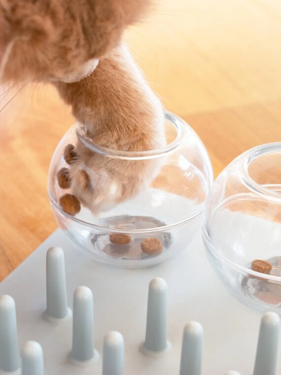 Catit Interactive Puzzle Toy for Cats, Fun Board Game, BPA-Free, 6-11 lbs