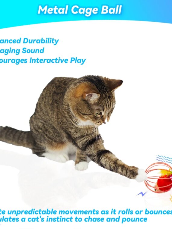 CatPlay Interactive Indoor Cat Toy Set - 6 Rolling Balls with Feathers & Bells for Engaging Play