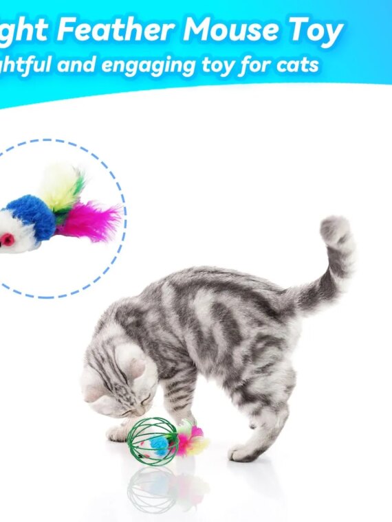 CatPlay Interactive Indoor Cat Toy Set - 6 Rolling Balls with Feathers & Bells for Engaging Play
