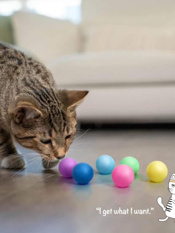 Catstages Replacement Balls for Cat Track Toy - 1.6" Lightweight Ping-Pong Style, Compatible with Tower Of Tracks & More