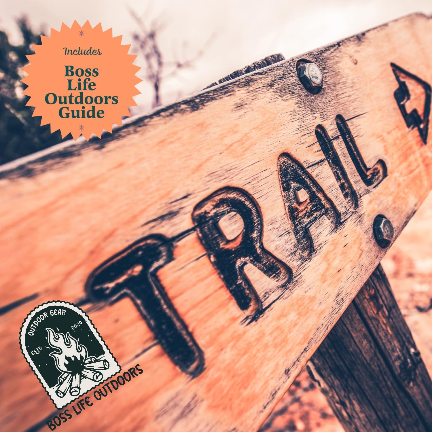 Coleman 16 Oz Propane Cylinders 6-Pack - Durable Steel for Camping & Outdoor Use