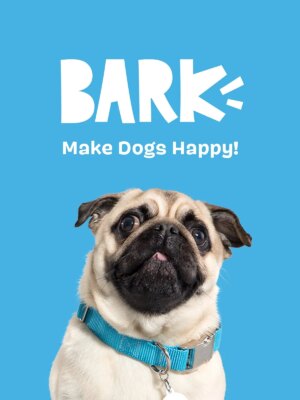 Consuela the Cactus 2-in-1 Interactive Plush Toy for Large Dogs with Squeaker, Non-Toxic Material