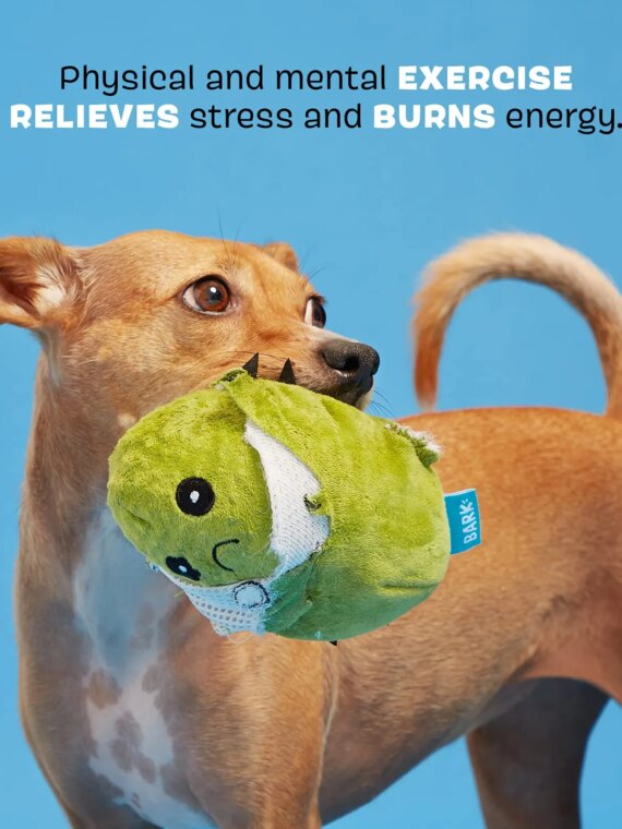 Consuela the Cactus 2-in-1 Interactive Plush Toy for Large Dogs with Squeaker, Non-Toxic Material