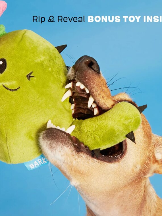 Consuela the Cactus 2-in-1 Interactive Plush Toy for Large Dogs with Squeaker, Non-Toxic Material