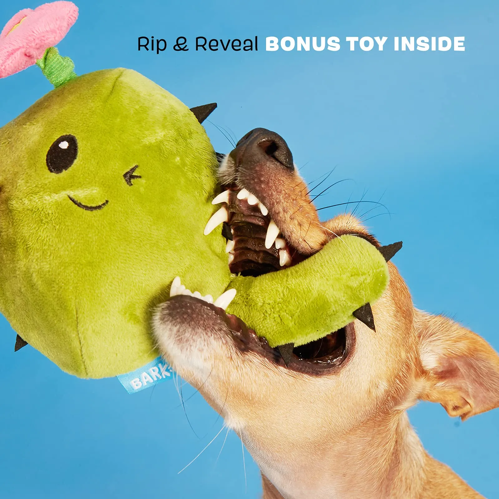 Consuela the Cactus 2-in-1 Interactive Plush Toy for Large Dogs with Squeaker, Non-Toxic Material