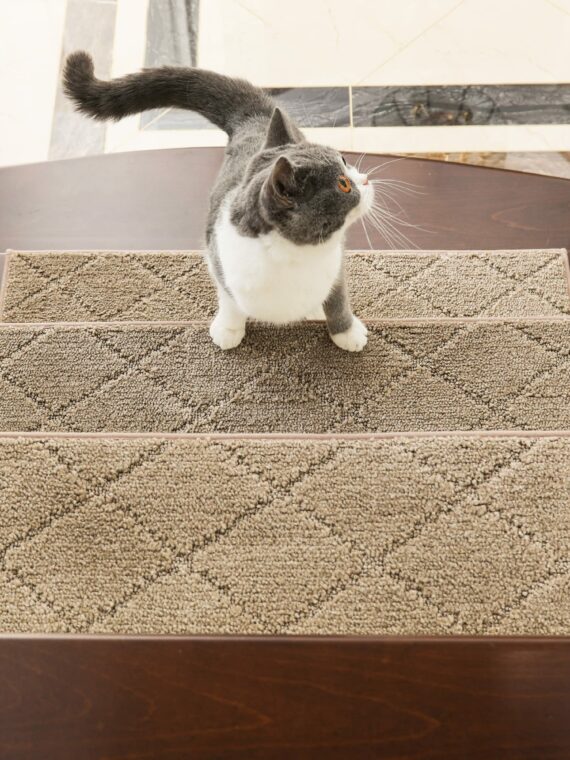 Cosy Homeer Non-Slip Stair Treads 15pcs - TPE Backing, Easy Install, 28"x9", Durable Carpet Mats