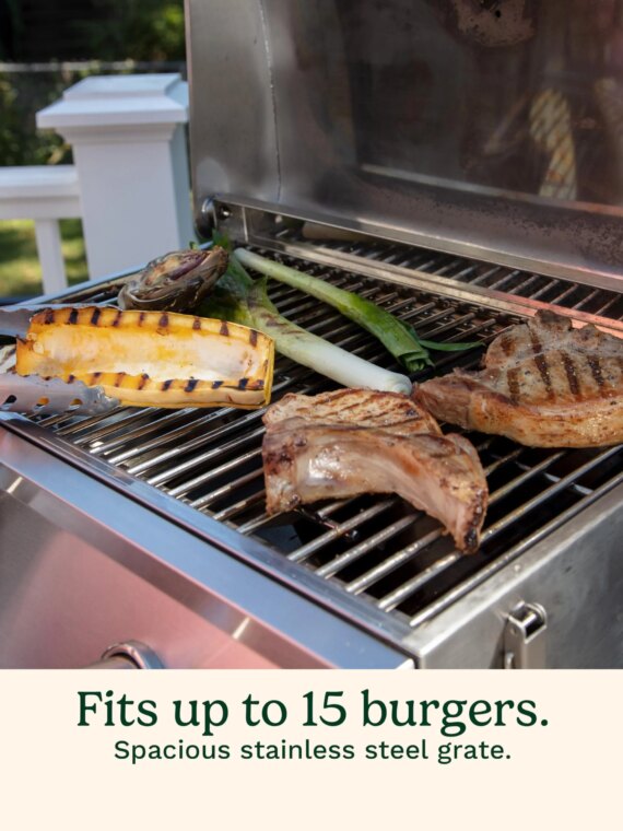 Cuisinart Portable Stainless Steel Propane Grill - Dual Burner, Tabletop, Lightweight, Easy Setup