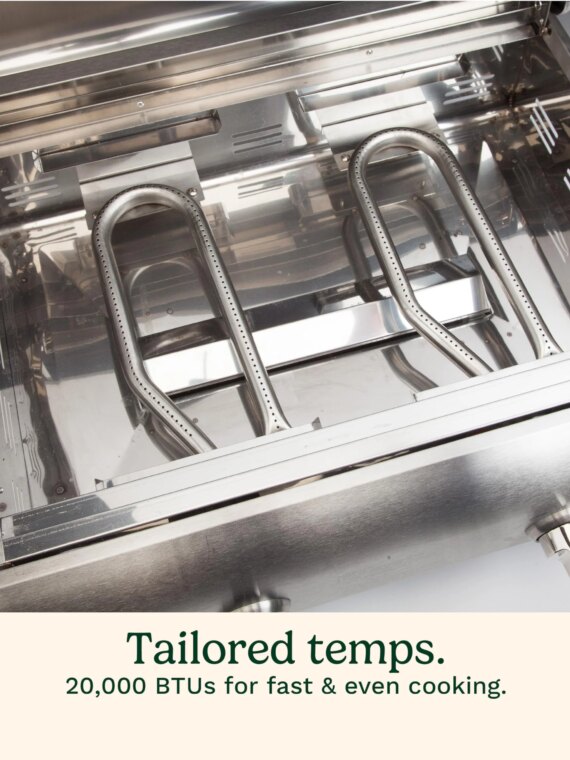 Cuisinart Portable Stainless Steel Propane Grill - Dual Burner, Tabletop, Lightweight, Easy Setup