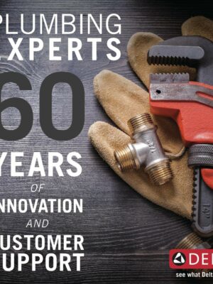 Delta Faucet In2ition 2-in-1 Dual Shower System with MultiChoice Valve, Four Spray Options & Temperature Control