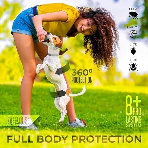 DogShield Flea & Tick Prevention Collar for Dogs - Long-Lasting, Safe Ingredients, Adjustable Fit
