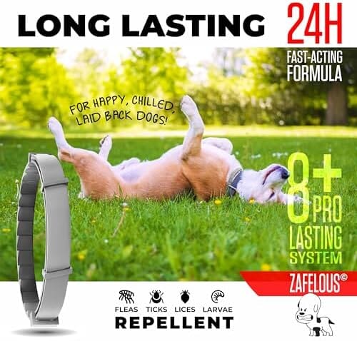 DogShield Flea & Tick Prevention Collar for Dogs - Long-Lasting, Safe Ingredients, Adjustable Fit