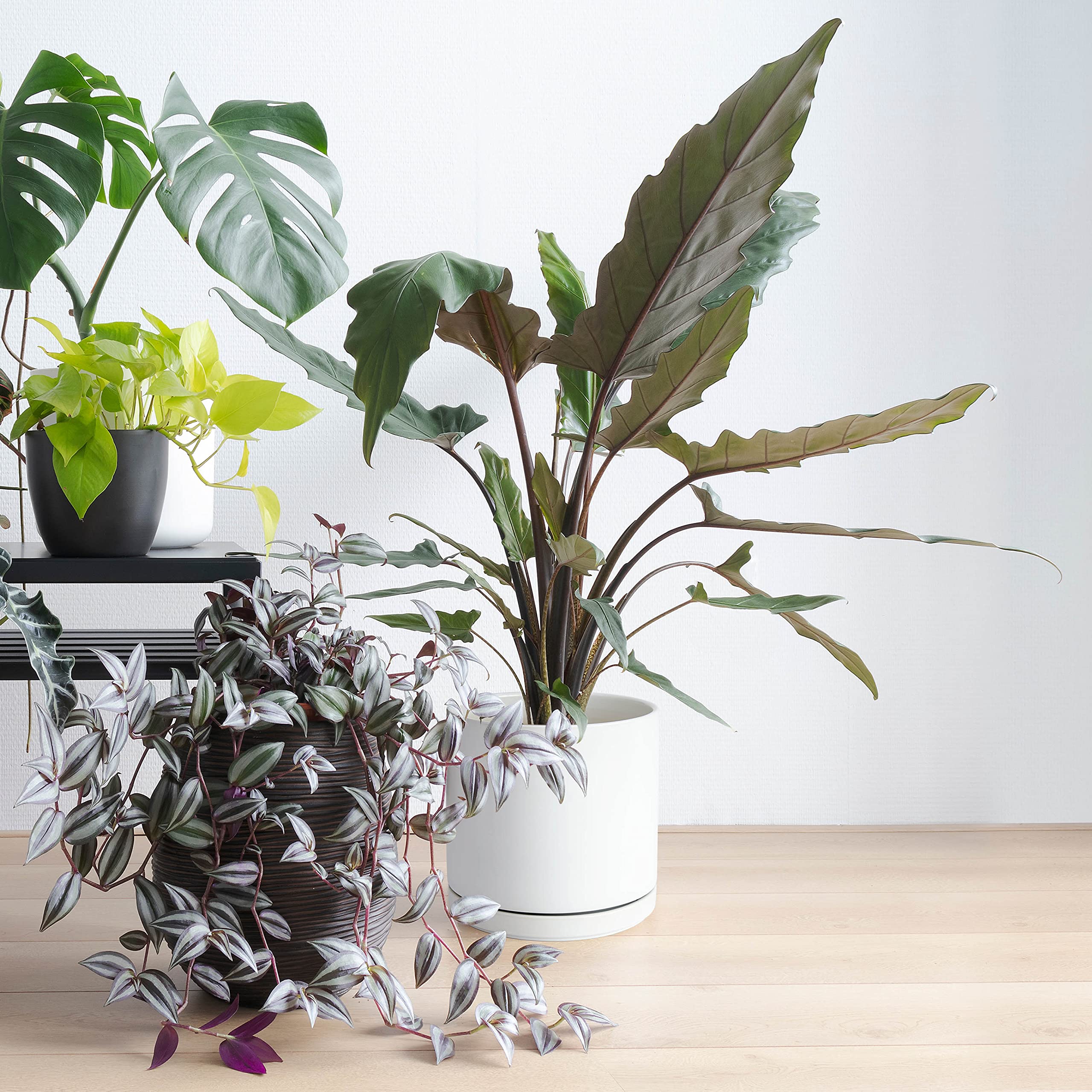 D'vine Dev 10" White Ceramic Planter Pot with Drainage Hole & Saucer, Modern Cylindrical Design