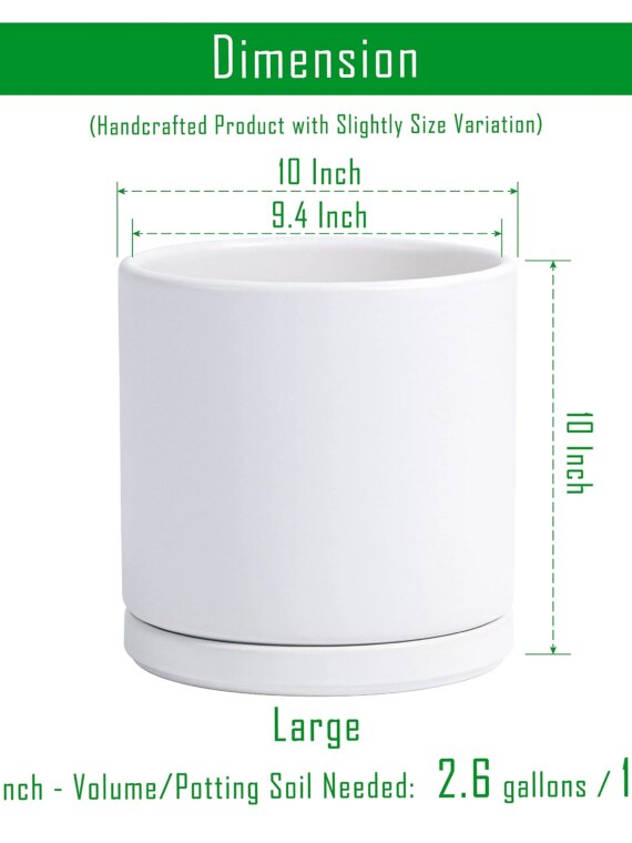D'vine Dev 10" White Ceramic Planter Pot with Drainage Hole & Saucer, Modern Cylindrical Design