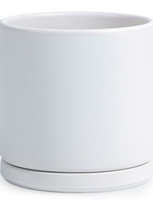 D'vine Dev 10" White Ceramic Planter Pot with Drainage Hole & Saucer, Modern Cylindrical Design
