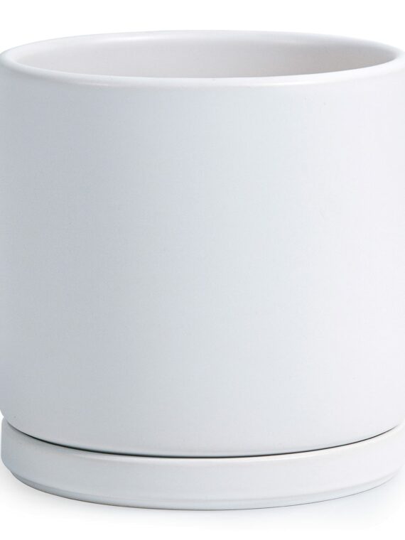 D'vine Dev 10" White Ceramic Planter Pot with Drainage Hole & Saucer, Modern Cylindrical Design