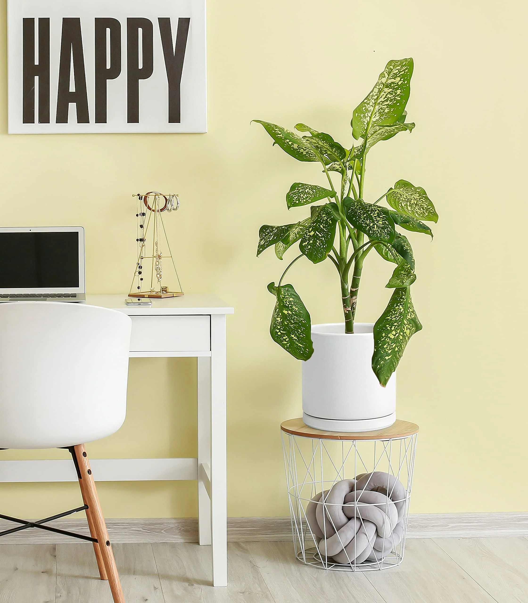 D'vine Dev 10" White Ceramic Planter Pot with Drainage Hole & Saucer, Modern Cylindrical Design