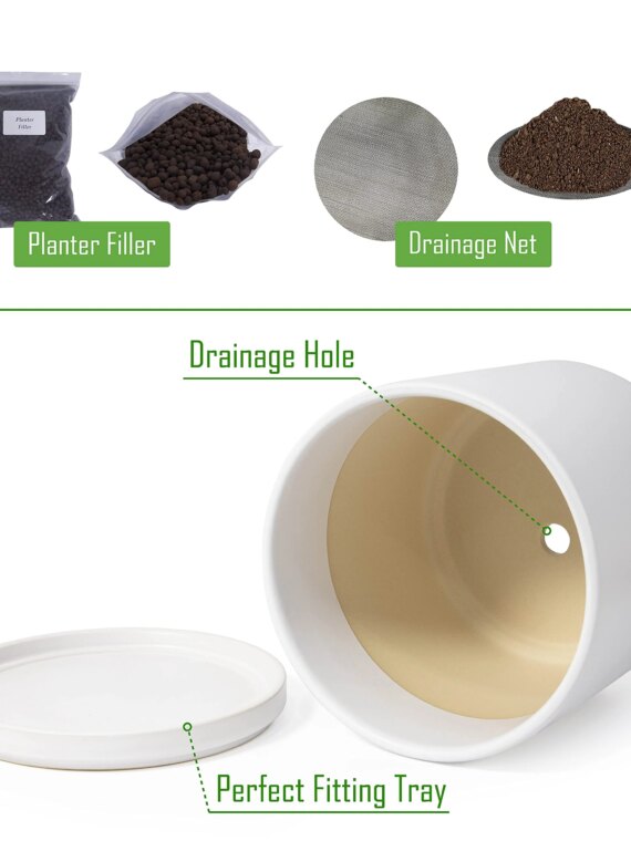 D'vine Dev 10" White Ceramic Planter Pot with Drainage Hole & Saucer, Modern Cylindrical Design