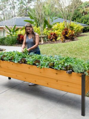 Eco-Stained Self-Watering Elevated Planter Box with Aluminum Legs, 96"x24"x29" - Durable, Rot-Resistant Garden Bed