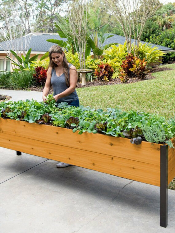 Eco-Stained Self-Watering Elevated Planter Box with Aluminum Legs, 96"x24"x29" - Durable, Rot-Resistant Garden Bed