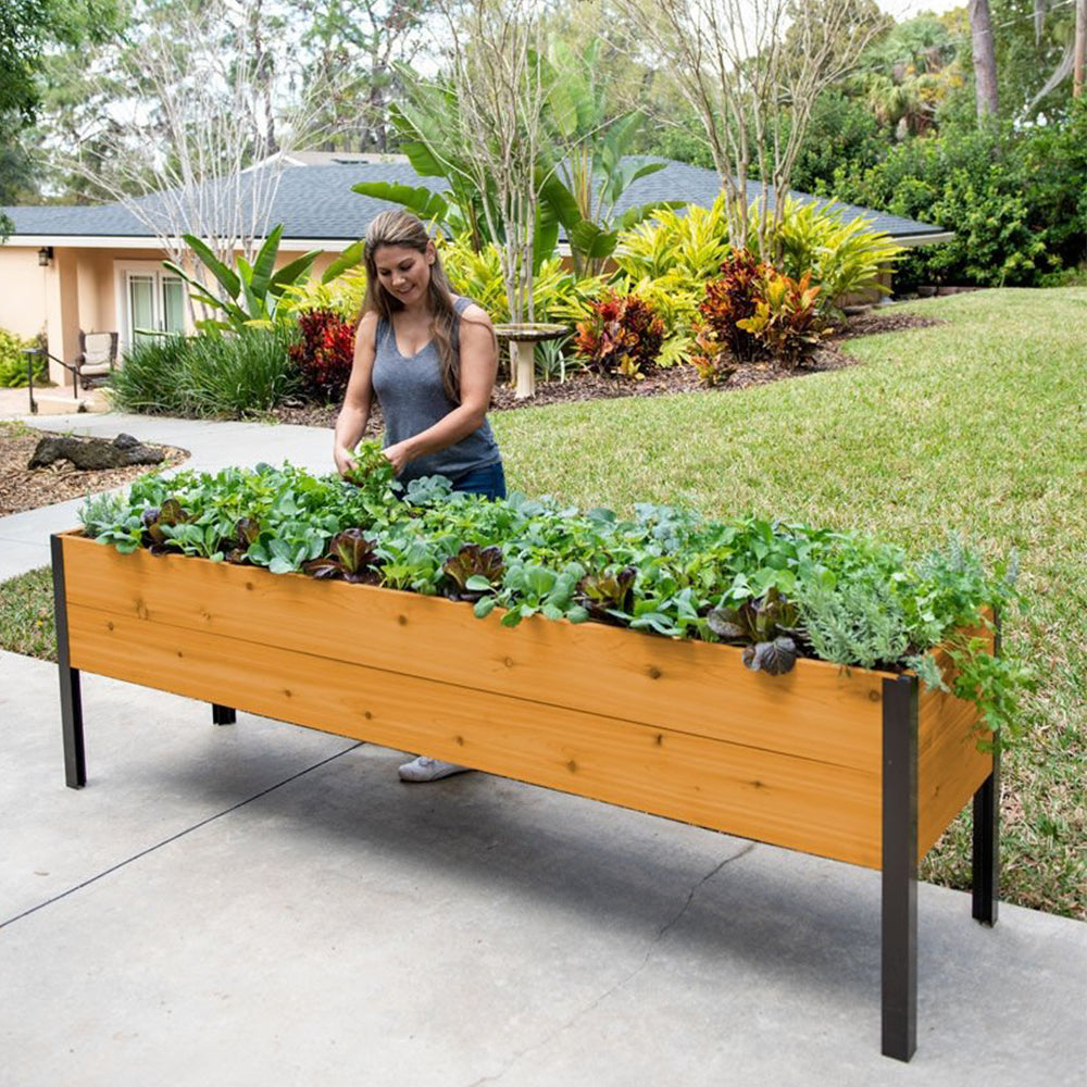 Eco-Stained Self-Watering Elevated Planter Box with Aluminum Legs, 96"x24"x29" - Durable, Rot-Resistant Garden Bed