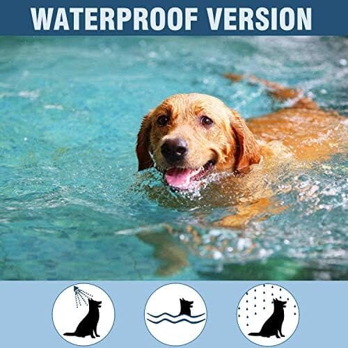 EcoGuard Natural Flea & Tick Collar for Large Dogs - Long-Lasting, Hypoallergenic, Plant-Based with Comb & Scoop