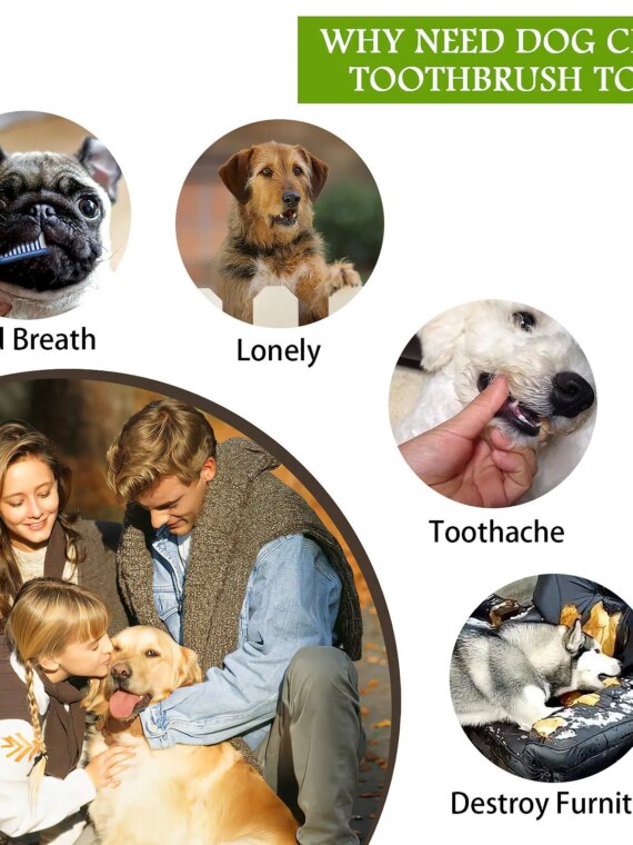 EcoPaws Natural Rubber Dog Toy, Medium to Large Breeds, Durable & BPA-Free