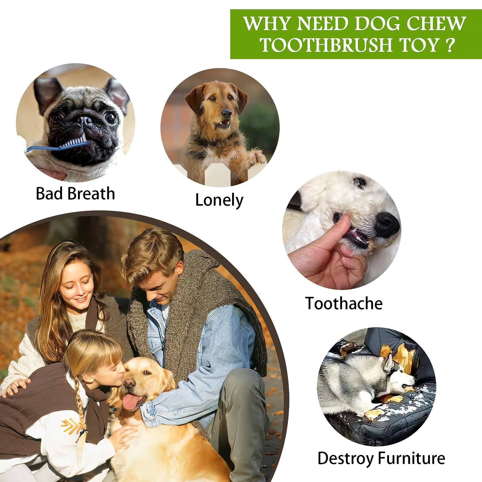 EcoPaws Natural Rubber Dog Toy, Medium to Large Breeds, Durable & BPA-Free