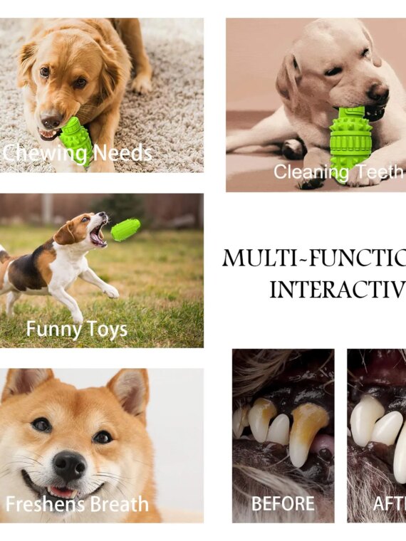 EcoPaws Natural Rubber Dog Toy, Medium to Large Breeds, Durable & BPA-Free