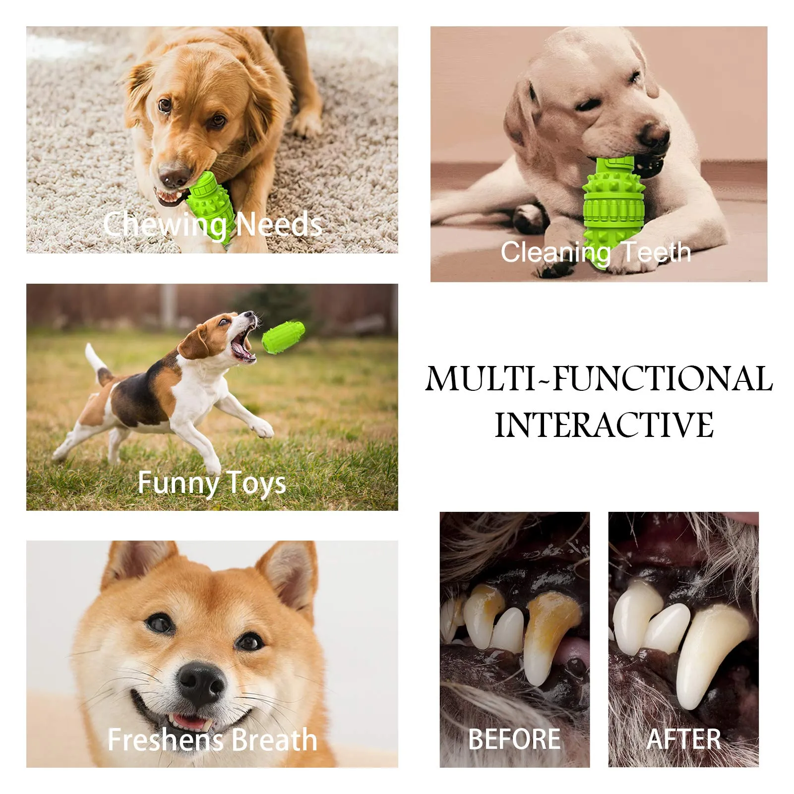 EcoPaws Natural Rubber Dog Toy, Medium to Large Breeds, Durable & BPA-Free