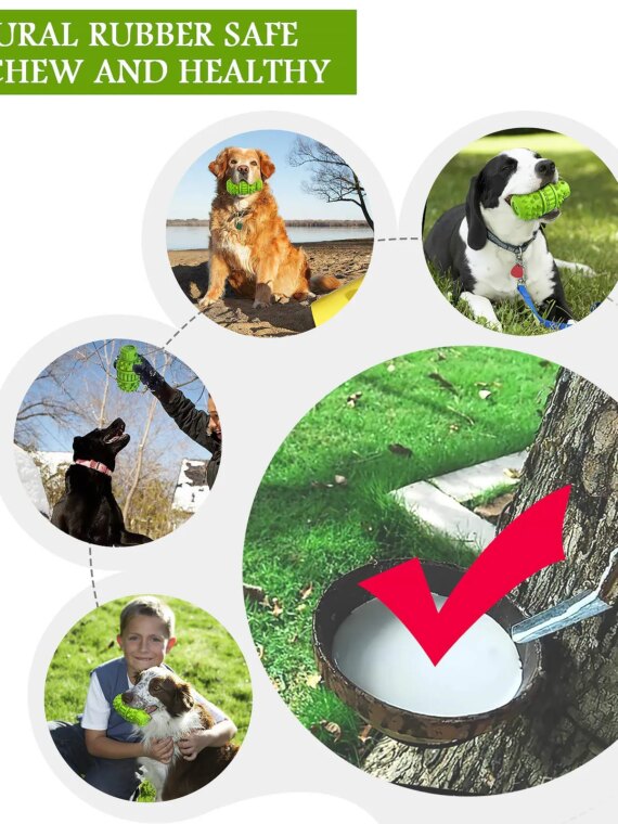 EcoPaws Natural Rubber Dog Toy, Medium to Large Breeds, Durable & BPA-Free
