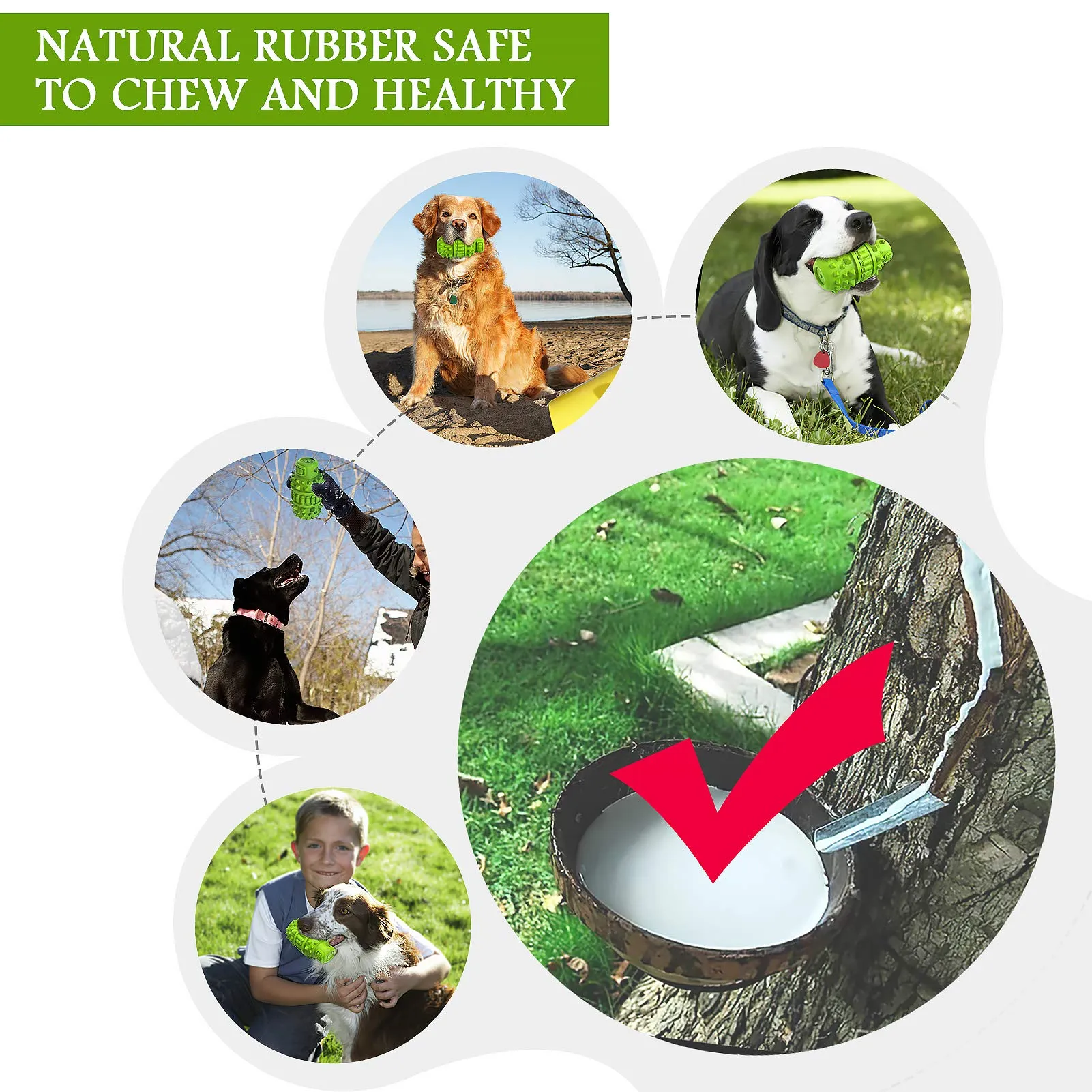 EcoPaws Natural Rubber Dog Toy, Medium to Large Breeds, Durable & BPA-Free