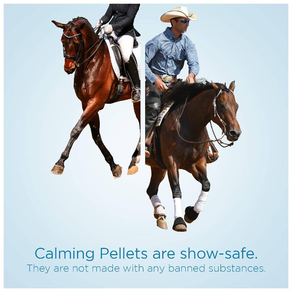 Formula 707 Calming Pellets for Horses, Apple Flavor, 10 lb, 80 Servings - Anxiety Relief & Focus Support