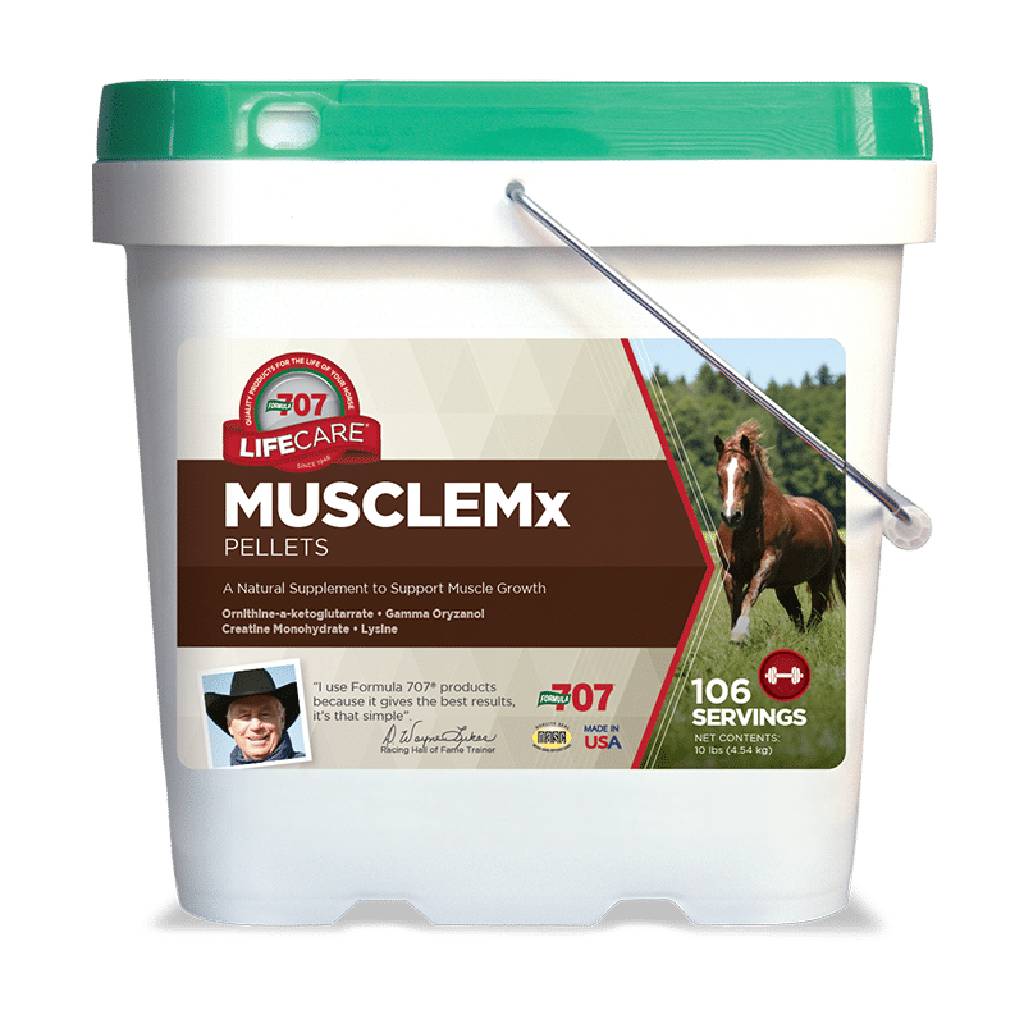 Formula 707 MuscleMx Horse Supplement, 10 lb, 106 Servings, Supports Muscle Growth & Development