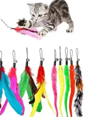 Funny Feather Cat Toy for Kittens with Bell Refills, Retractable Wand, Eco-Friendly Materials, 38-Inch Extendable Rod