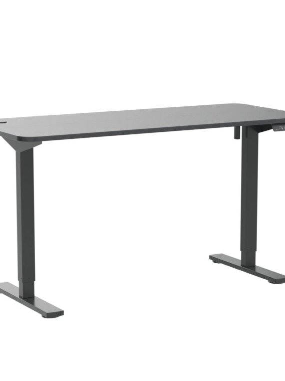 Furmax Adjustable Electric Standing Desk 55"x24" with Memory Lift, Wood Desktop, Steel Legs
