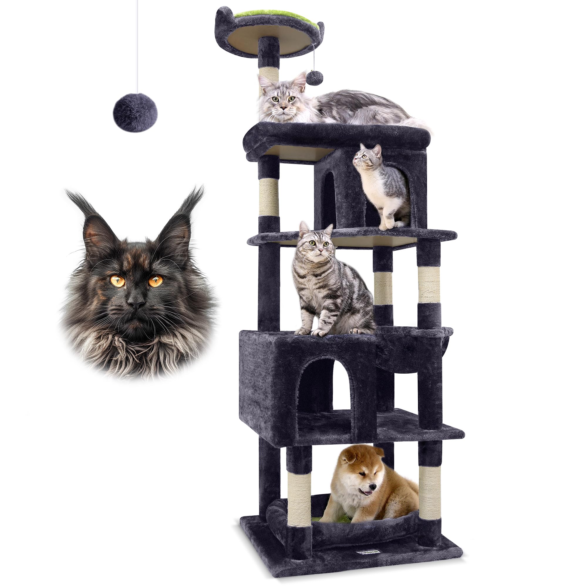 Globlazer Maine Coon Cat Tree 72in for Large Cats 20 lbs+ with Sturdy Triangular Design