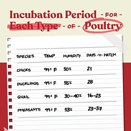 Harris Farms Nurture Right 360° Egg Incubator, 22 Egg Capacity, Automatic Turner, Humidity Control