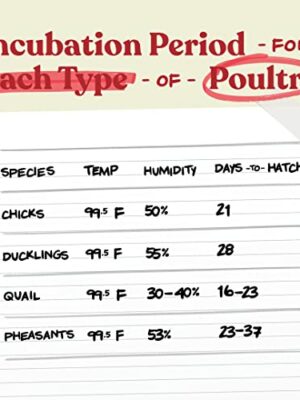 Harris Farms Nurture Right Egg Incubator with Automatic Turner & Humidity Control – Holds 22 Eggs