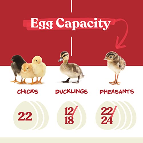 Harris Farms Nurture Right Egg Incubator with Automatic Turner & Humidity Control - Holds 22 Eggs