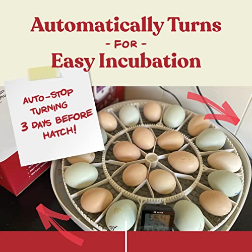 Harris Farms Nurture Right Egg Incubator with Automatic Turner & Humidity Control - Holds 22 Eggs