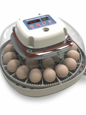 Harris Farms Nurture Right Egg Incubator with Automatic Turner & Humidity Control - Holds 22 Eggs