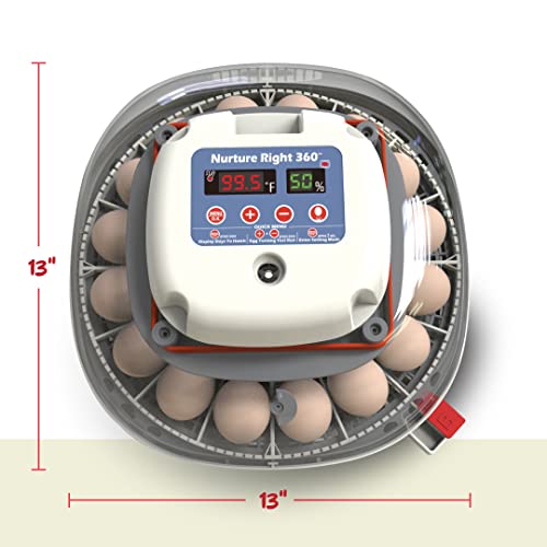 Harris Farms Nurture Right Egg Incubator with Automatic Turner & Humidity Control - Holds 22 Eggs