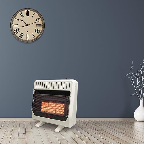 HearthSense Ventless Dual Fuel Infrared Heater, 30,000 BTU, Thermostat Control, Wall/Floor Mount, White