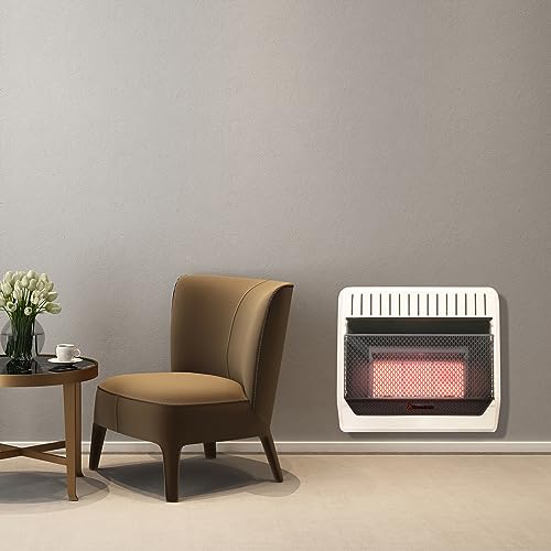 HearthSense Ventless Dual Fuel Infrared Heater, 30,000 BTU, Thermostat Control, Wall/Floor Mount, White