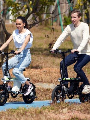 Isinwheel U1 Electric Bike 750W Motor, Foldable, 25 Mile Range, 20 MPH, UL2849 Certified, Dual Disc Brakes