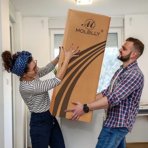 Molblly Queen Gel Memory Foam Mattress 10" - CertiPUR-US Certified, Breathable Design, Mattress in a Box